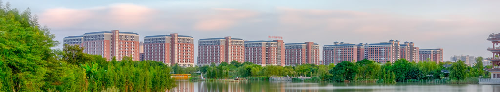 学校全景